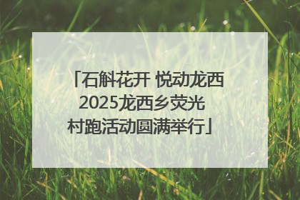 石斛花开 悦动龙西 2025龙西乡荧光村跑活动圆满举行
