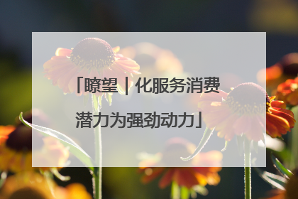 瞭望｜化服务消费潜力为强劲动力
