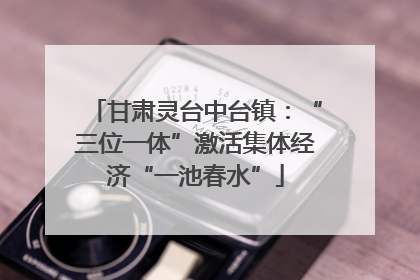 甘肃灵台中台镇：“三位一体”激活集体经济“一池春水”