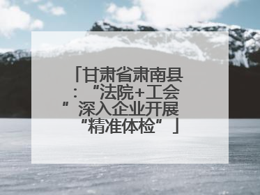 甘肃省肃南县：“法院+工会”深入企业开展“精准体检”