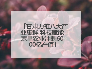 甘肃力推八大产业集群 科技赋能寒旱农业冲刺6000亿产值