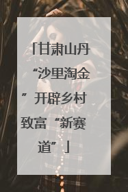 甘肃山丹“沙里淘金”开辟乡村致富“新赛道”