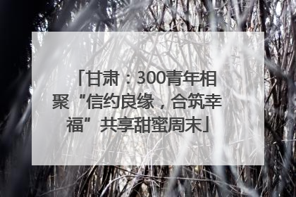 甘肃：300青年相聚“信约良缘，合筑幸福”共享甜蜜周末