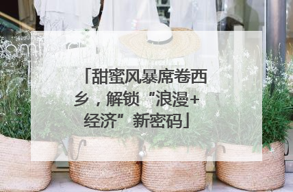 甜蜜风暴席卷西乡，解锁“浪漫+经济”新密码