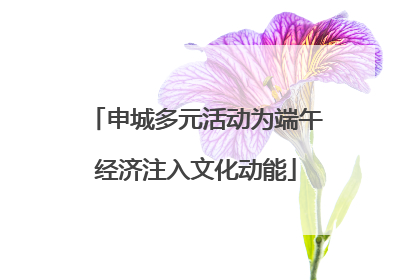 申城多元活动为端午经济注入文化动能