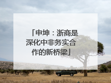 申坤：浙商是深化中非务实合作的新桥梁