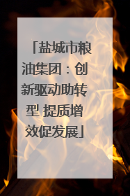 盐城市粮油集团：创新驱动助转型 提质增效促发展