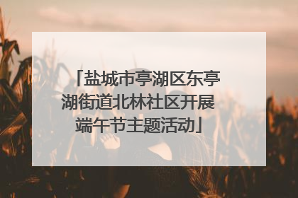 盐城市亭湖区东亭湖街道北林社区开展端午节主题活动