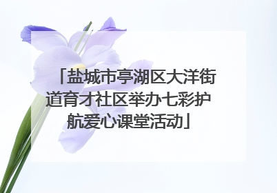 盐城市亭湖区大洋街道育才社区举办七彩护航爱心课堂活动