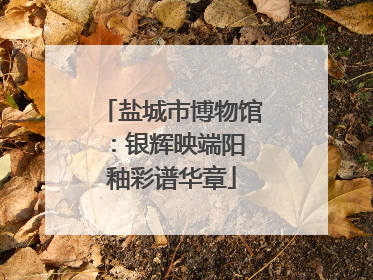 盐城市博物馆：银辉映端阳 釉彩谱华章