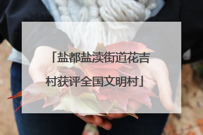 盐都盐渎街道花吉村获评全国文明村