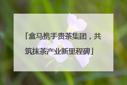 盒马携手贵茶集团，共筑抹茶产业新里程碑