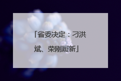 省委决定：刁洪斌、荣刚履新