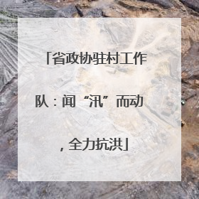 省政协驻村工作队：闻“汛”而动，全力抗洪