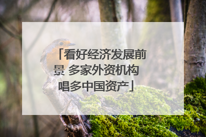 看好经济发展前景 多家外资机构唱多中国资产
