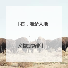 看，湘楚大地文物绽新彩