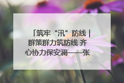 筑牢“汛”防线｜群策群力筑防线 齐心协力保安澜——张家界高新区上下众志成城迎战汛情