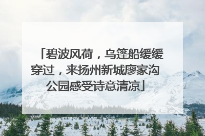 碧波风荷，乌篷船缓缓穿过，来扬州新城廖家沟公园感受诗意清凉