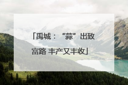 禹城：“蒜”出致富路 丰产又丰收