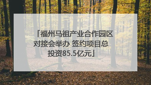 福州马祖产业合作园区对接会举办 签约项目总投资85.5亿元