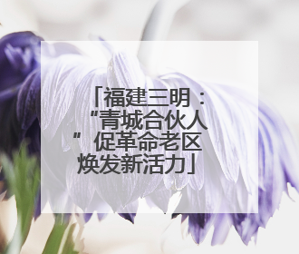 福建三明：“青城合伙人”促革命老区焕发新活力
