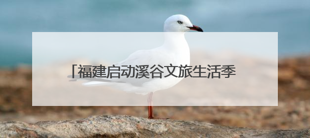 福建启动溪谷文旅生活季 解锁“溪谷生态+”新玩法