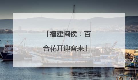 福建闽侯：百合花开迎客来