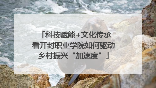 科技赋能+文化传承 看开封职业学院如何驱动乡村振兴“加速度”