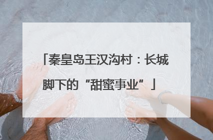 秦皇岛王汉沟村：长城脚下的“甜蜜事业”