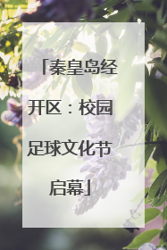 秦皇岛经开区：校园足球文化节启幕