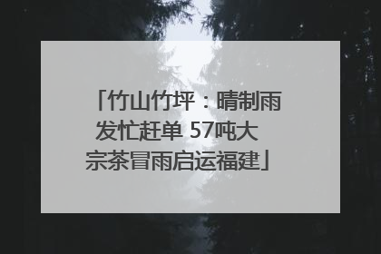 竹山竹坪：晴制雨发忙赶单 57吨大宗茶冒雨启运福建