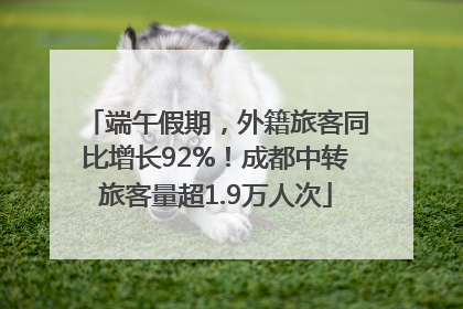端午假期，外籍旅客同比增长92%！成都中转旅客量超1.9万人次