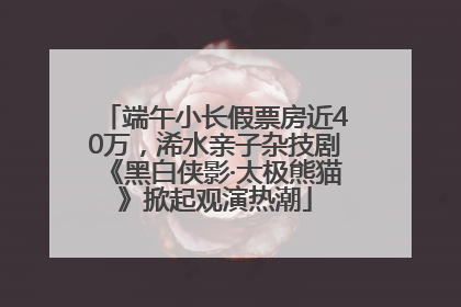 端午小长假票房近40万，浠水亲子杂技剧《黑白侠影·太极熊猫》掀起观演热潮