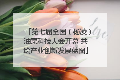 第七届全国（杨凌）油菜科技大会开幕 共绘产业创新发展蓝图