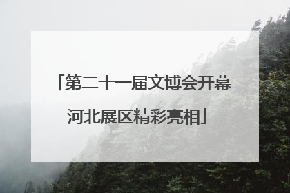 第二十一届文博会开幕 河北展区精彩亮相