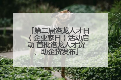 第二届洛龙人才日（企业家日）活动启动 首批洛龙人才贷、助企贷发布