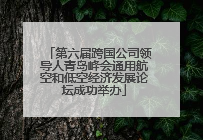 第六届跨国公司领导人青岛峰会通用航空和低空经济发展论坛成功举办