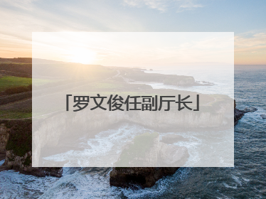 罗文俊任副厅长
