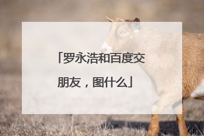 罗永浩和百度交朋友，图什么