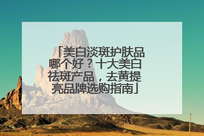美白淡斑护肤品哪个好？十大美白祛斑产品，去黄提亮品牌选购指南