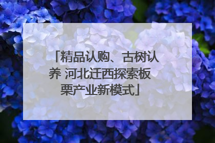 精品认购、古树认养 河北迁西探索板栗产业新模式