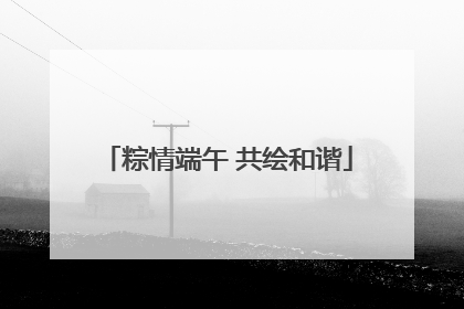 粽情端午 共绘和谐