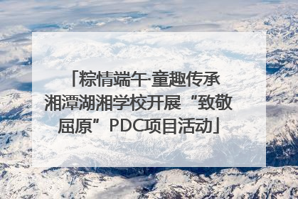 粽情端午·童趣传承 湘潭湖湘学校开展“致敬屈原”PDC项目活动