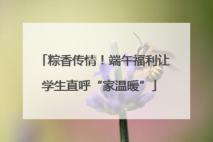 粽香传情！端午福利让学生直呼“家温暖”