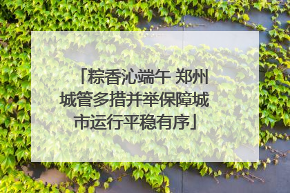 粽香沁端午 郑州城管多措并举保障城市运行平稳有序