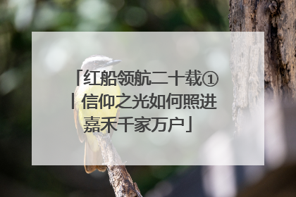红船领航二十载①丨信仰之光如何照进嘉禾千家万户