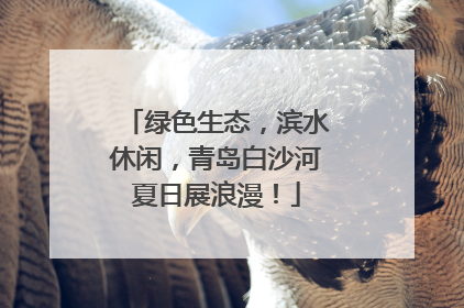 绿色生态，滨水休闲，青岛白沙河夏日展浪漫！
