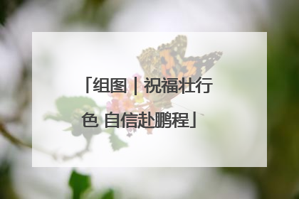 组图｜祝福壮行色 自信赴鹏程
