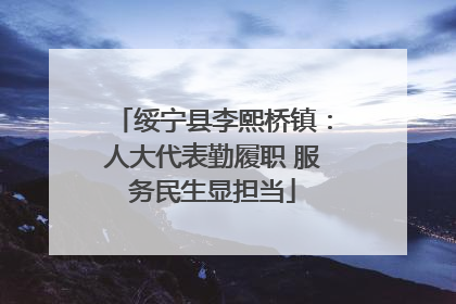 绥宁县李熙桥镇：人大代表勤履职 服务民生显担当