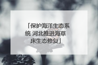 保护海洋生态系统 河北推进海草床生态修复